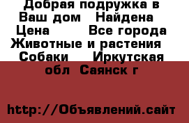 Добрая подружка,в Ваш дом!!!Найдена › Цена ­ 10 - Все города Животные и растения » Собаки   . Иркутская обл.,Саянск г.